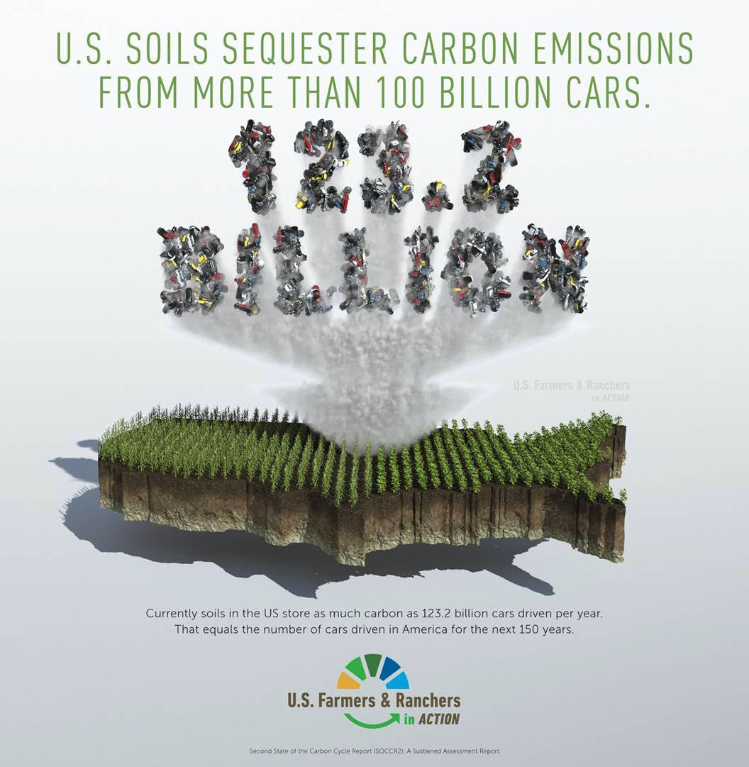 Carbon emissions